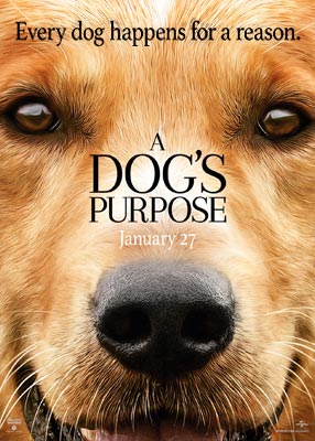 A Dog's Purpose