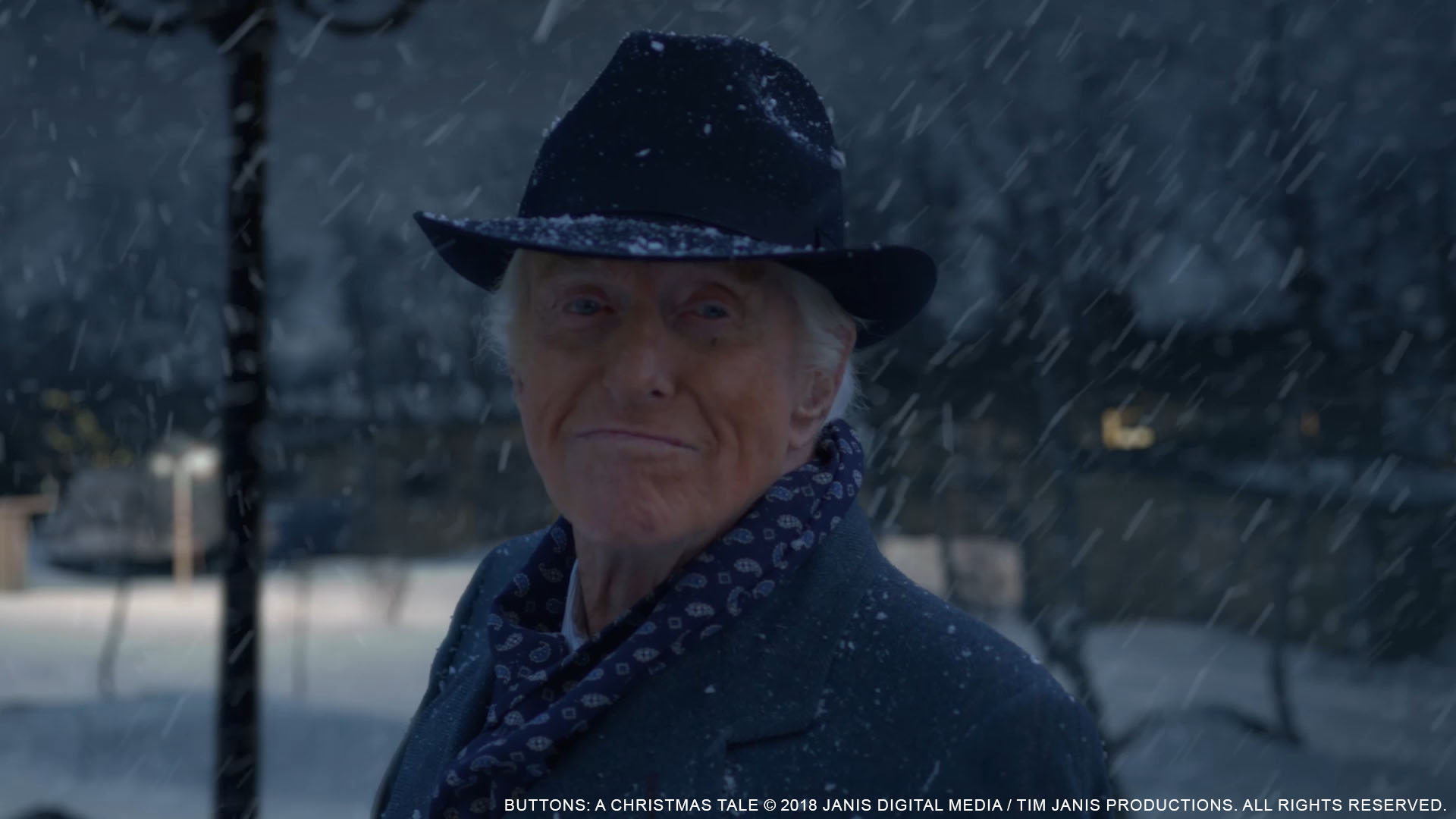 Architectural Snow Integration